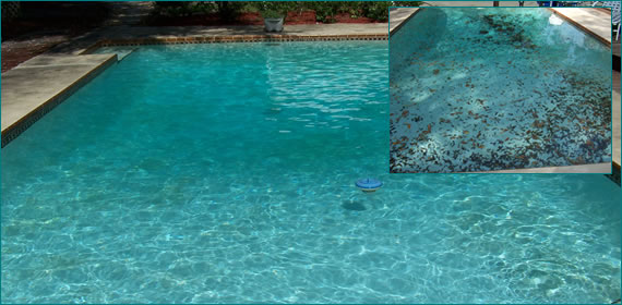 Pool Service Sanford, Fl